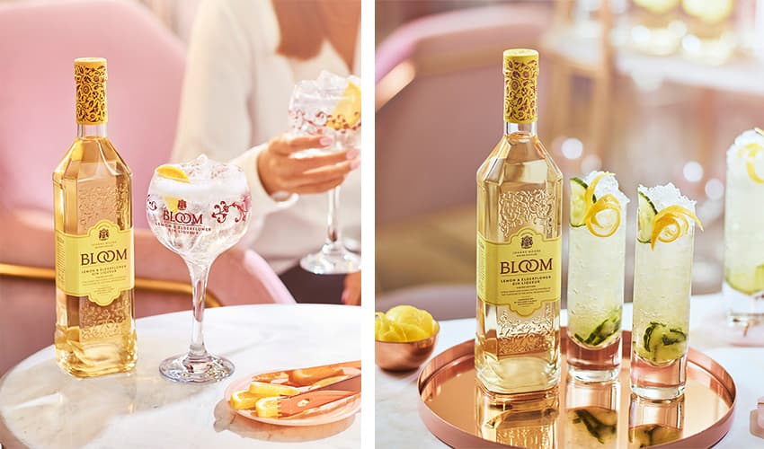 12 Best Lemon Gins You Should Be Pouring Into Your G&T Gin Kin