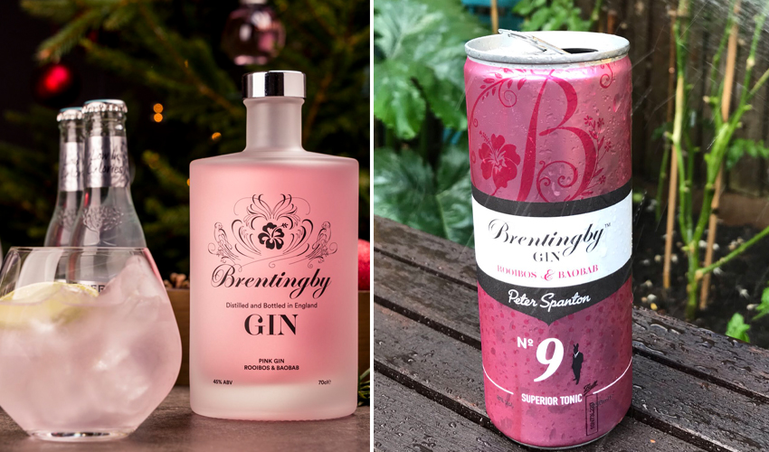 A New Premixed Pink Gin and Tonic Is About to Hit the Market The Gin Kin