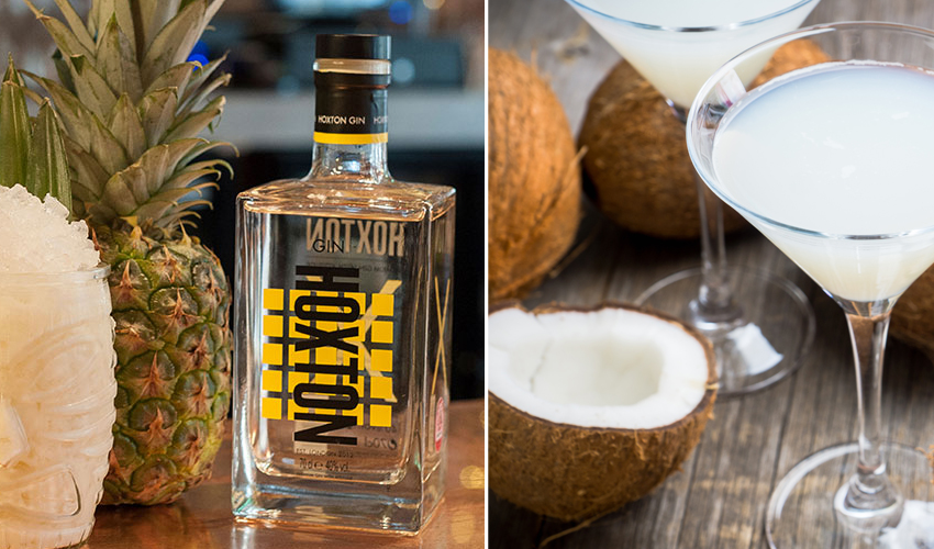 Coconut Gin - 3 Best Tropical Gins and Matching Cocktails to Try | The ...