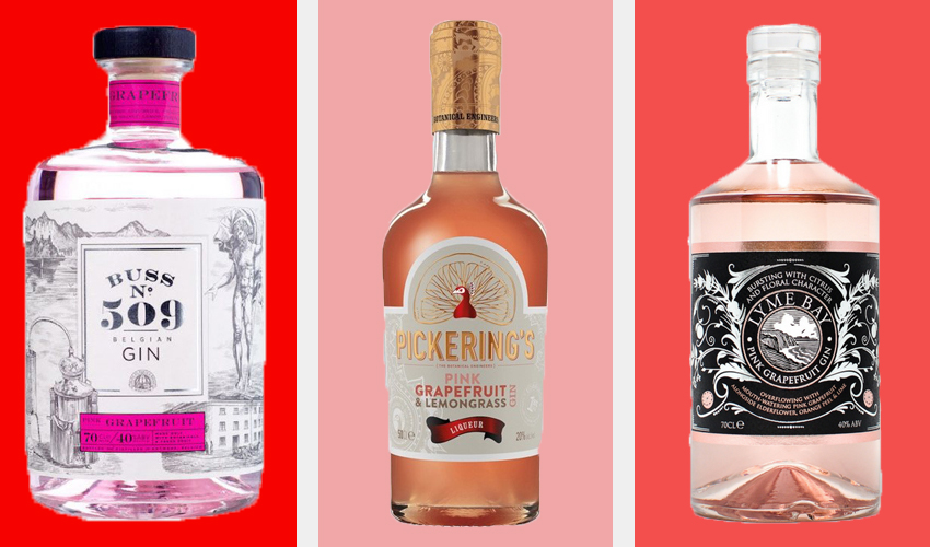 Best Grapefruit Gin 12 Fruity Tipples You Need to Try Gin Kin