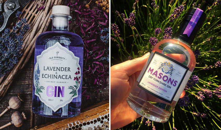 lavender gin Featured Image for The Ultimate Guide to Buying and Making Lavender Gin