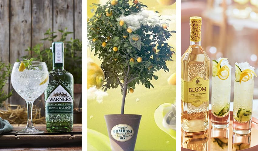 limon2 Featured Image for 12 Lemon Gins That Will Add a Delicious Tang to Your Summer G&T