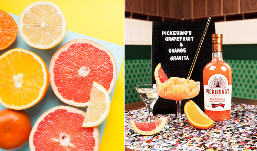 15 Grapefruit Gin Cocktails That Are Summer Citrus Sensations The Gin Kin