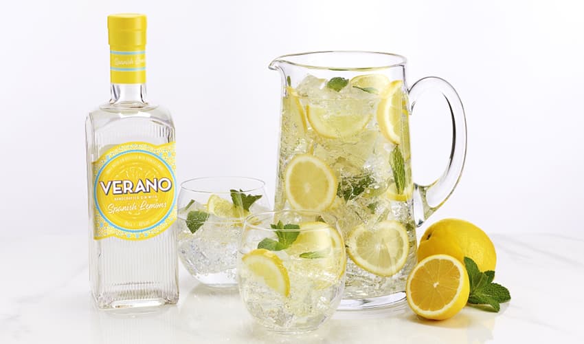 12 Best Lemon Gins You Should Be Pouring Into Your G&T Gin Kin