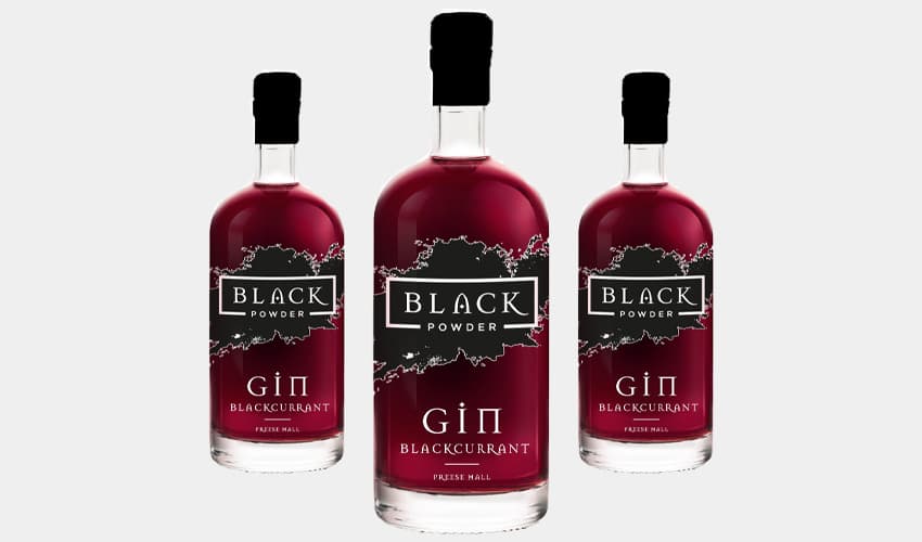 Blackcurrant Gin Guide How to Make It and Where to Find It