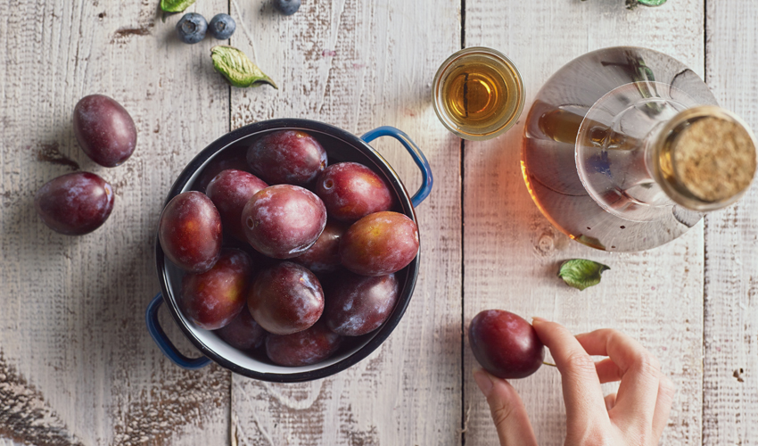 Damson Gin Recipe How to Make Damson Gin at Home The Gin Kin