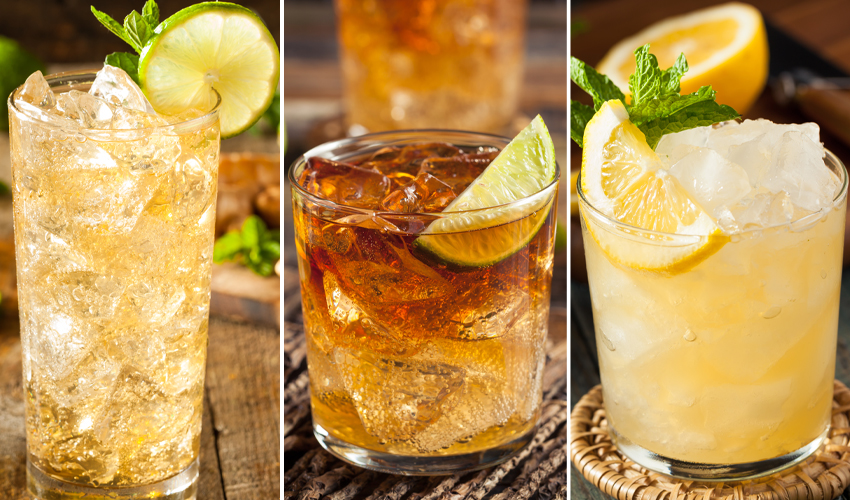 Gin and Ginger Ale 7 of the Best Easy to Make Cocktails