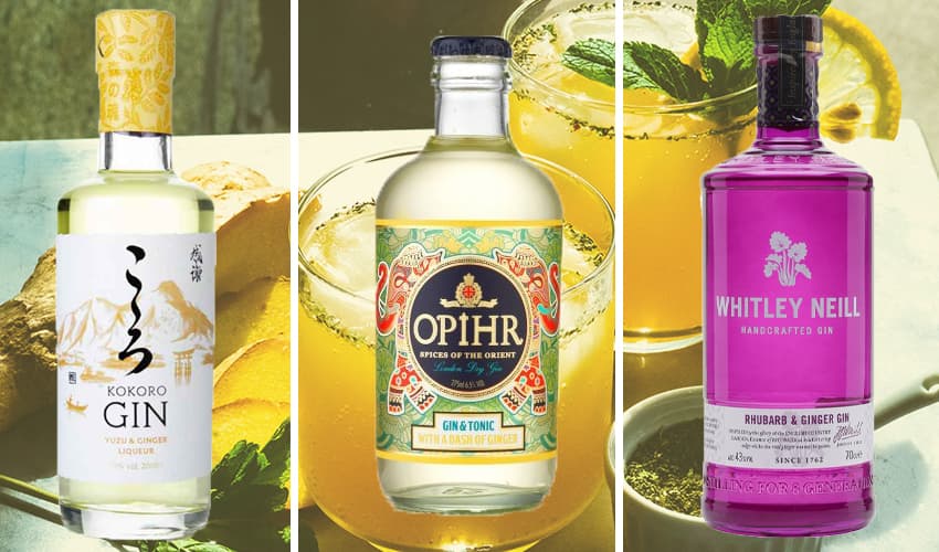 Ginger Gin Guide for a Refreshing Burst of Flavour to Your G&T