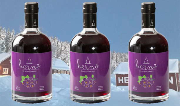 download type of gin made with blackthorn