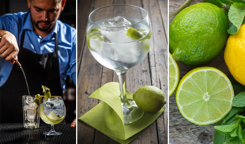 how to make a gin and tonic how to make a gin and tonic