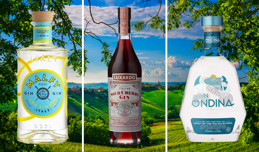 Italian Gin 5 of the Best and Where to Buy The Gin Kin