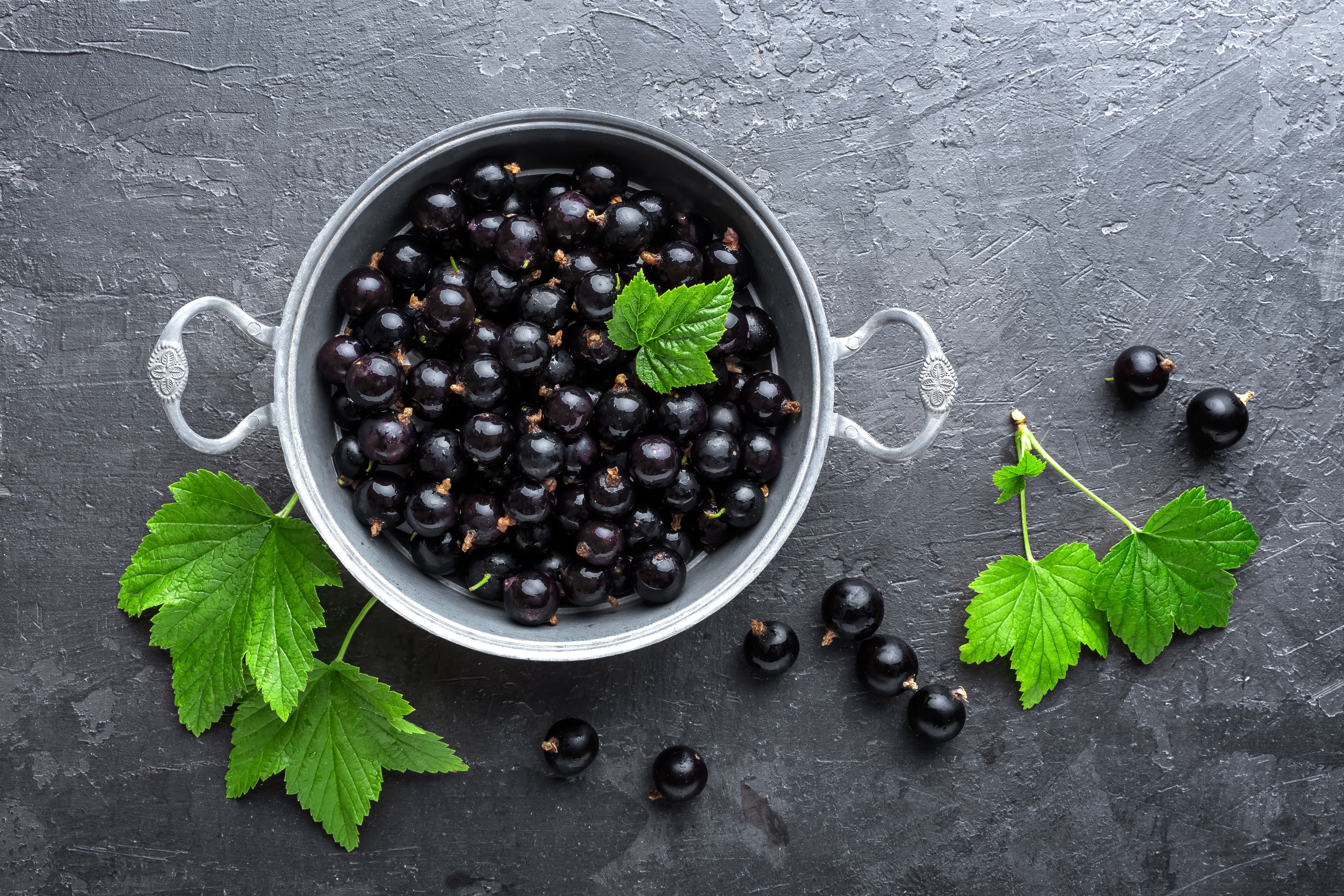 Blackcurrant Gin Guide How to Make It and Where to Find It