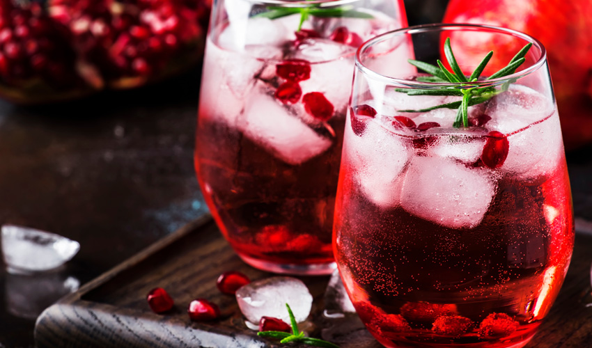 Sloe Gin Mixer Guide What to Drink with Sloe Gin Gin Kin