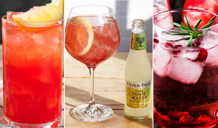 sloe gin mixer FI sloe gin mixer