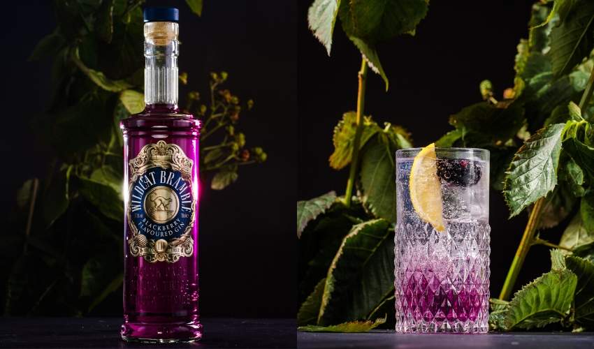 wildcat bramble (1) Wildcat Bramble Gin