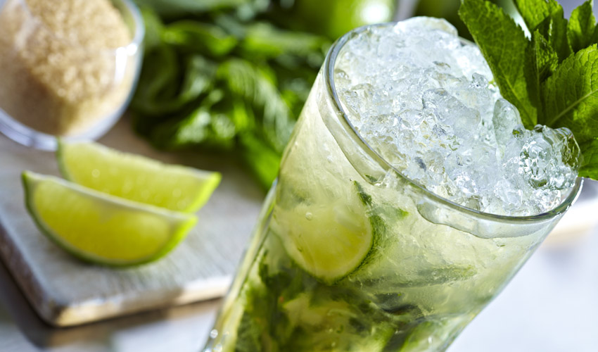 Gin Mojito – How to Make the Perfect One | The Gin Kin