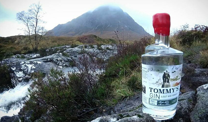 tommy’s gin tommy's gin
