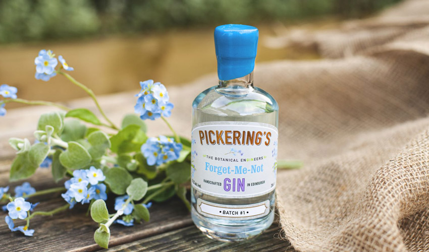 Gin Is a Floral Gin to Remember The Gin Kin