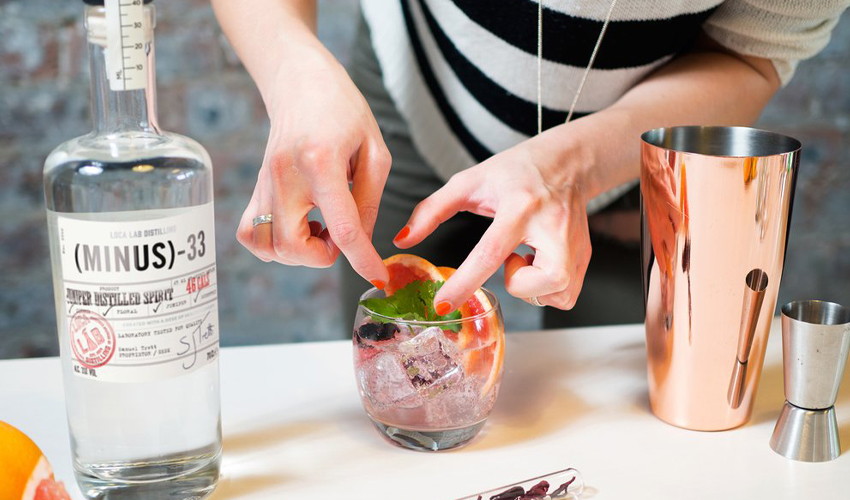 minus 33 low calorie gin minus 33