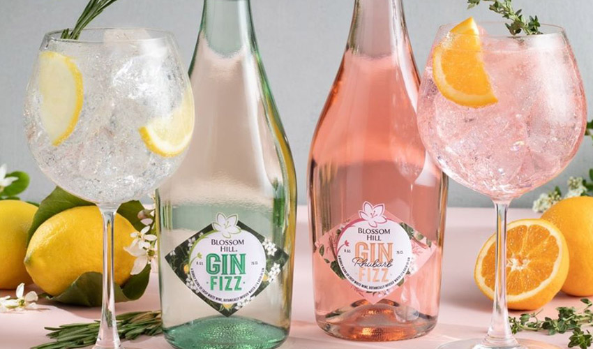 Blossom Hill’s Gin Fizz Is About to Be Released in Pre-mixed Cans for ...