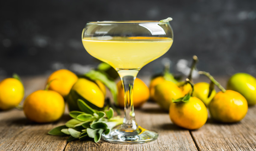 5 Limoncello Gin Cocktails That Are Citrus Sensations in a Glass The