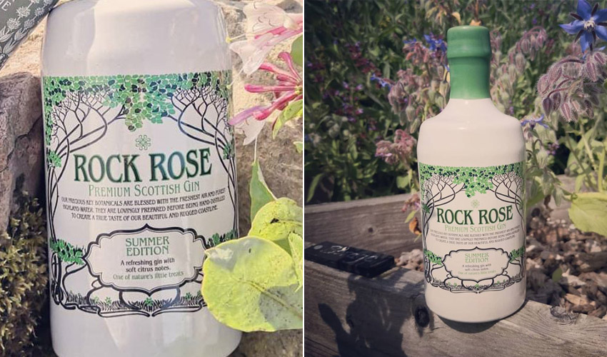 rock rose summer edition rock rose summer edition