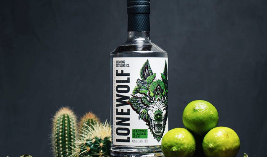 brewdog cactus & lime brewdog cactus & lime gin