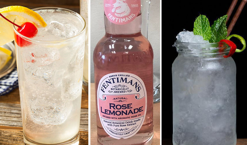 10 Best Gin and Lemonade Cocktails The Gin Kin