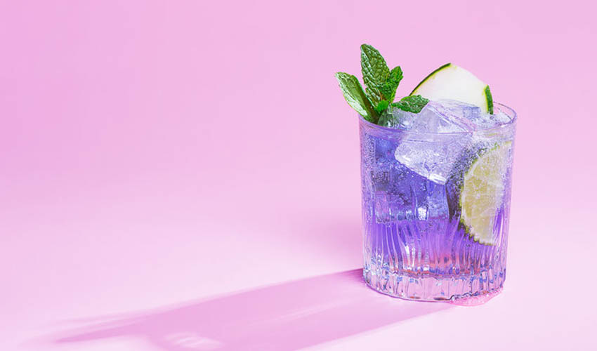 ink gin and elderflower cocktail ink gin elderflower cup