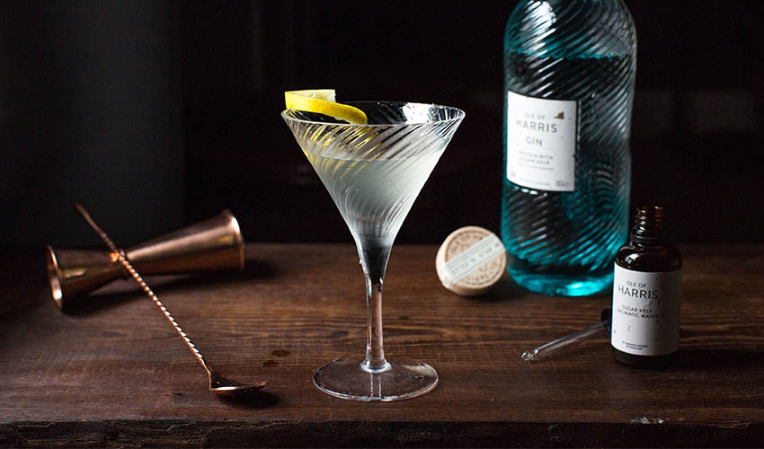 World Martini Day Here's How to Make the Perfect Gin Martini