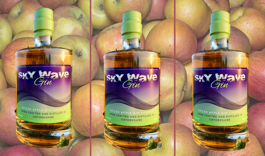 sky wave spiced apple gin liqueur sky wave spiced apple gin liqueur