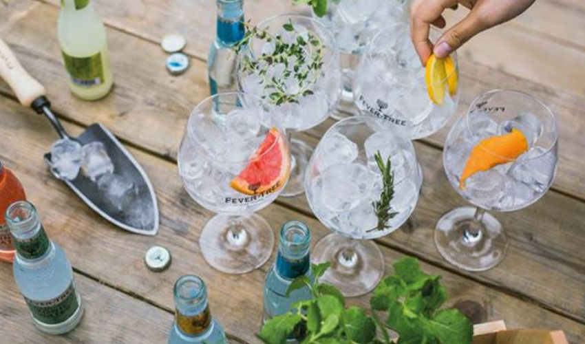 virtual gin and tonic festival fever tree online gin & tonic festival