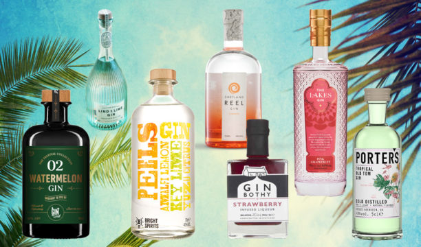 15 Best Summer Gins to Sip into the Long Hot Evenings