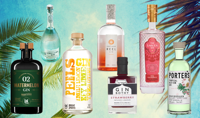 15 Best Summer Gins To Sip Into The Long Hot Evenings The Gin Kin