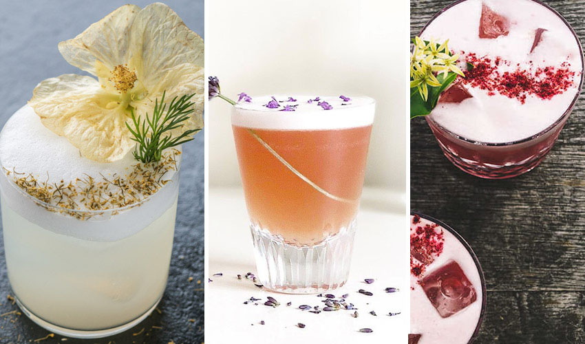6 Best Gin Sour Cocktail Recipes The Gin Kin