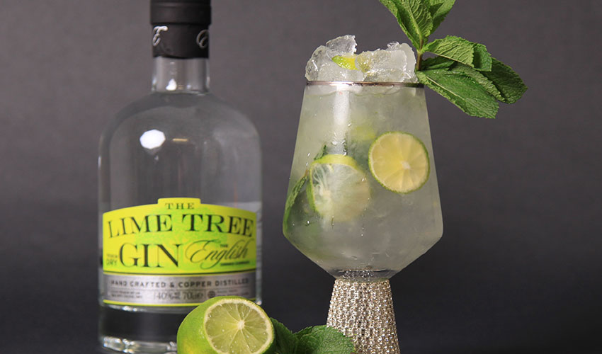 lime gin mojito lime gin mojito