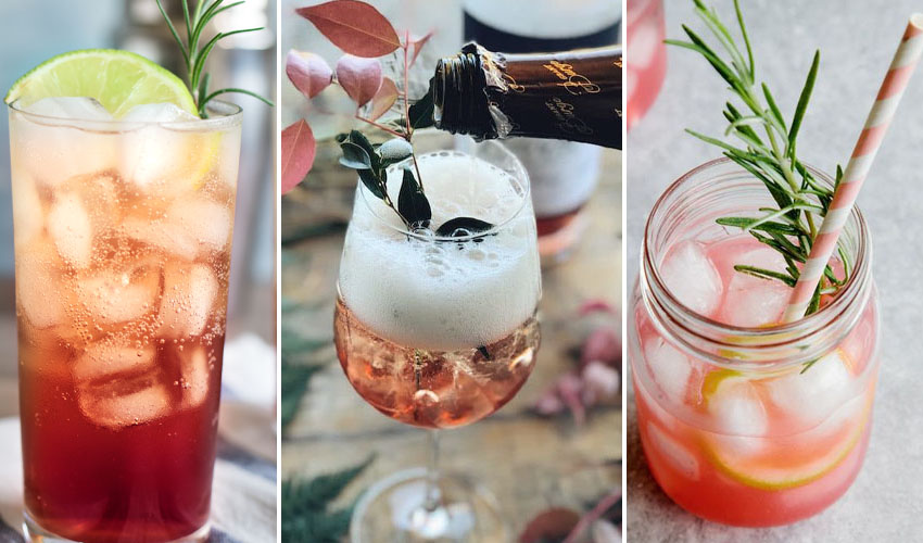 sloe gin fizz cocktail sloe gin fizz
