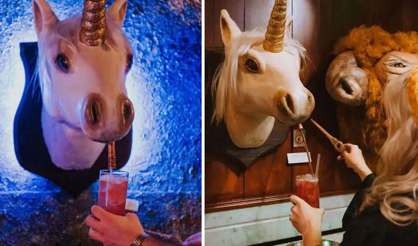 unicorn gin bar the cauldron bar