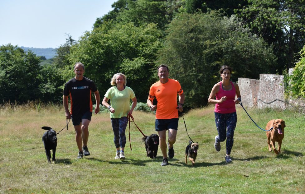Dogs running