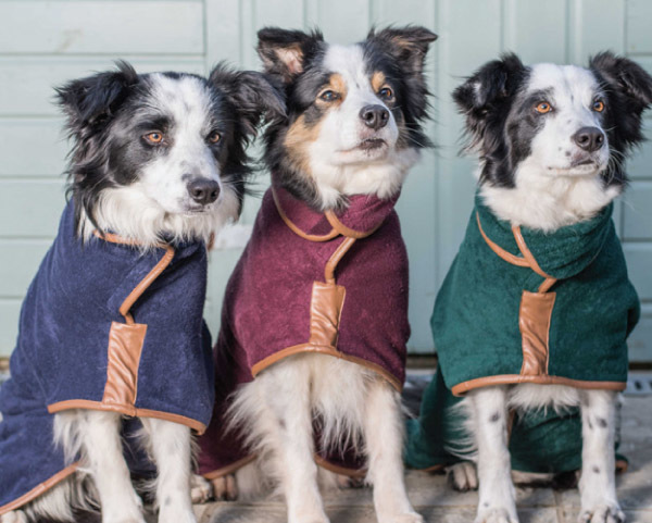 christmas gifts dogs