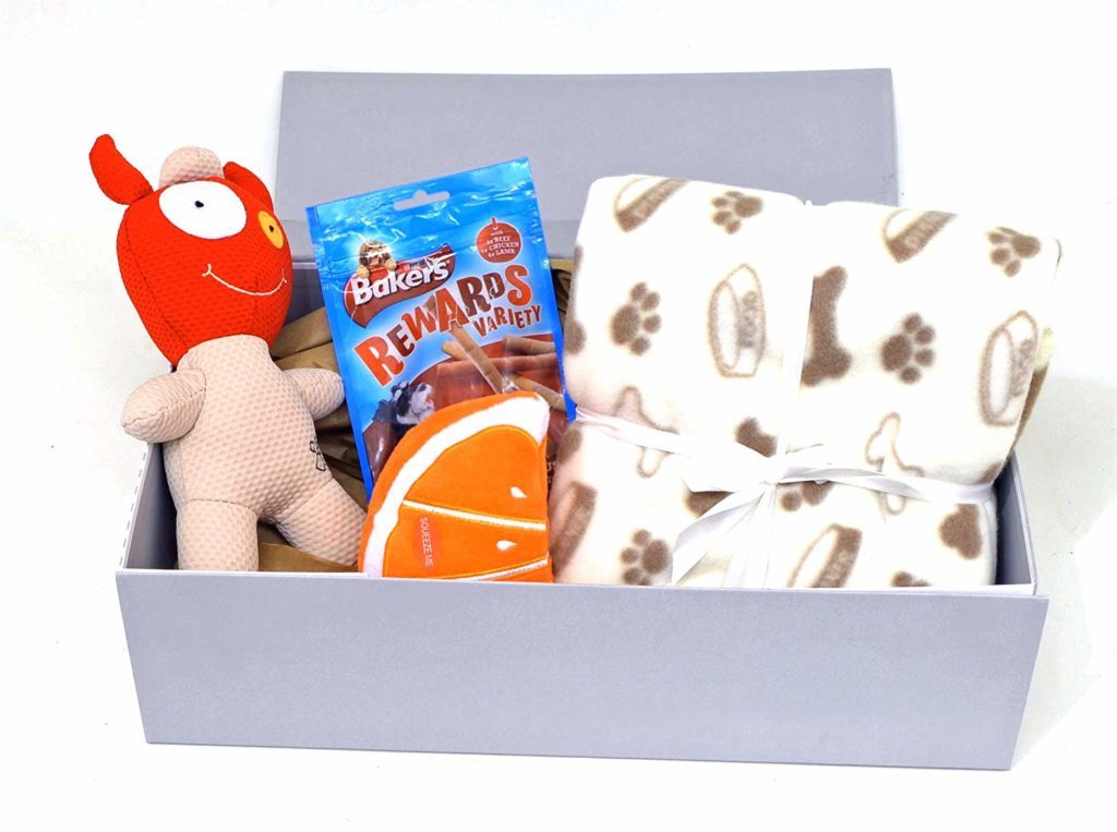 christmas gifts dogs
