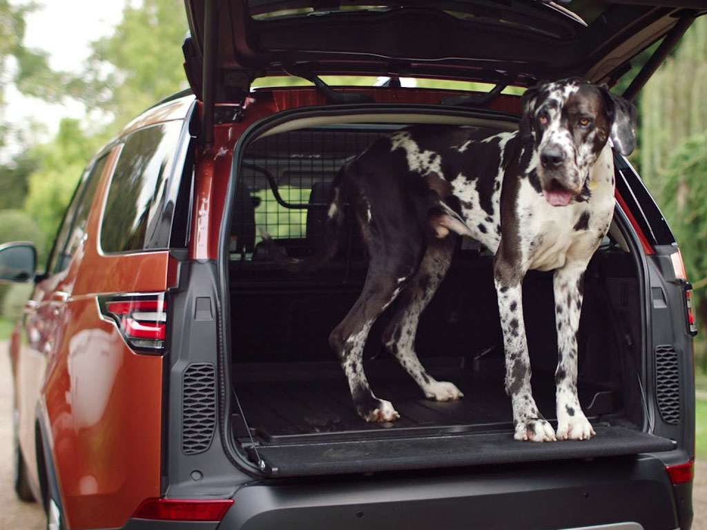 land rover dog accessories