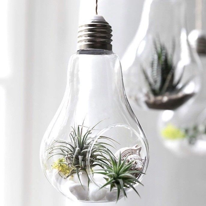 Light bulb vases are the creative way to bring the outdoors in ...