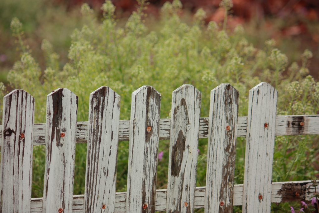 garden fence
