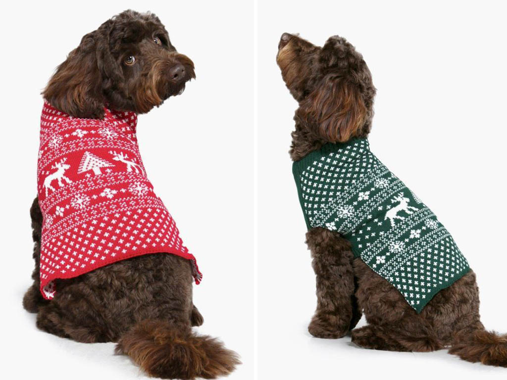 christmas gifts dogs