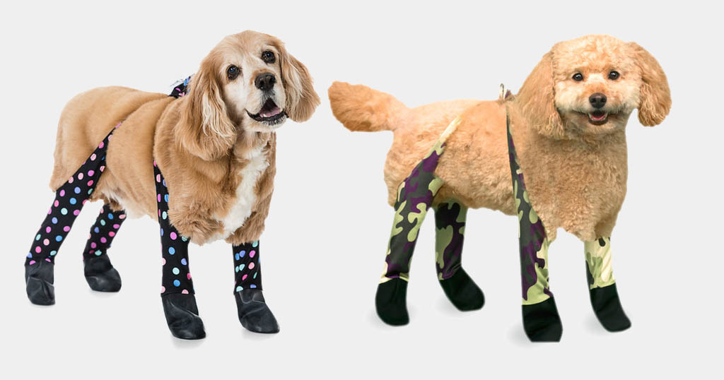 Dog Leggings Have Arrived To Keep Your Pooch Warm Inspiralist