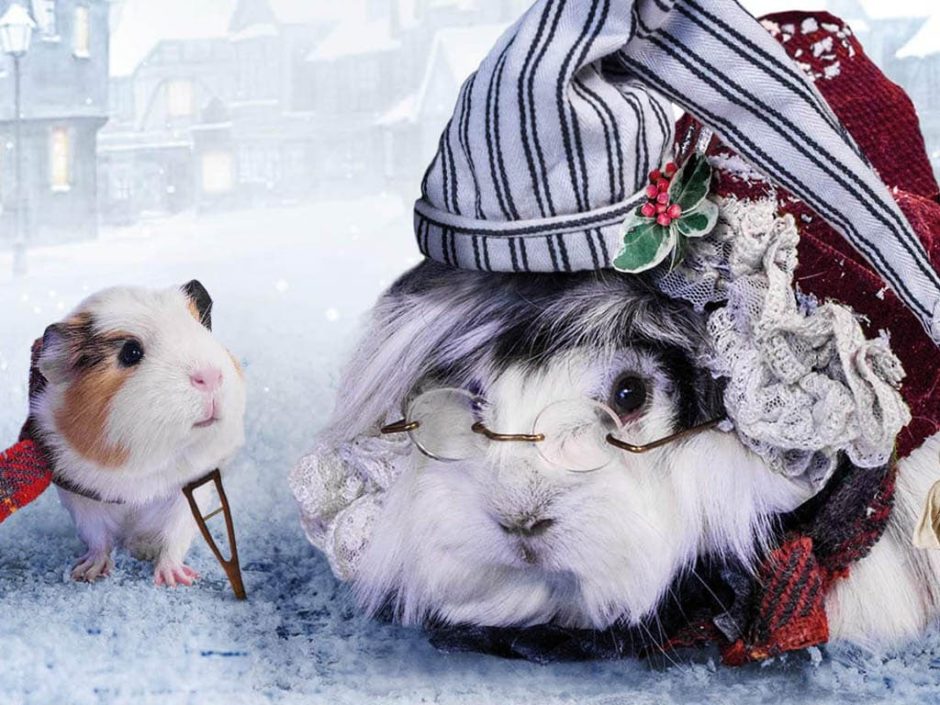 Guinea Pigs Recreate Christmas Scenes and it's Glorious Inspiralist