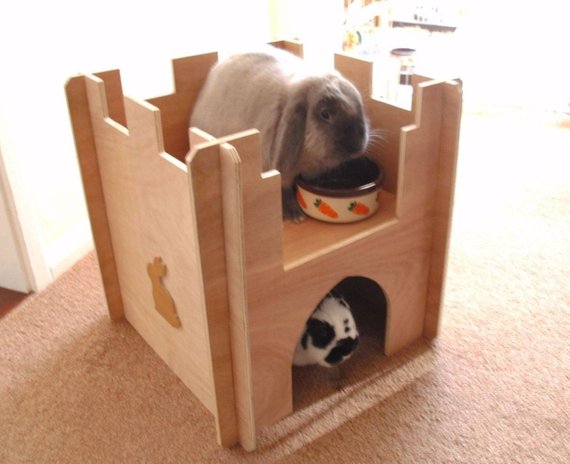 christmas presents rabbits