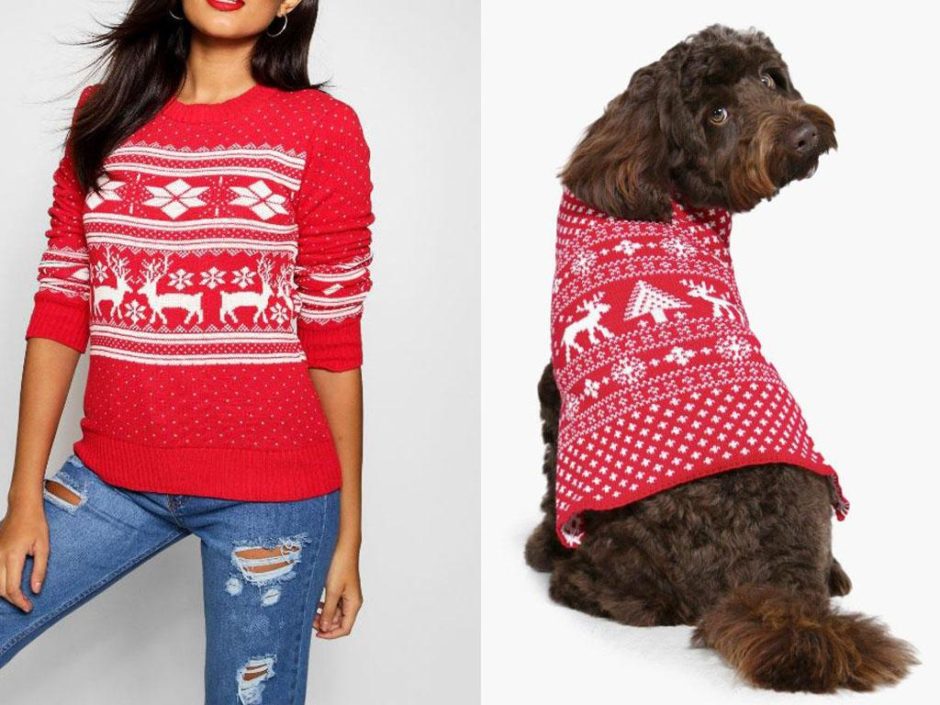 Matching Christmas Jumpers For You and Your Dog Will Keep You Both Cosy