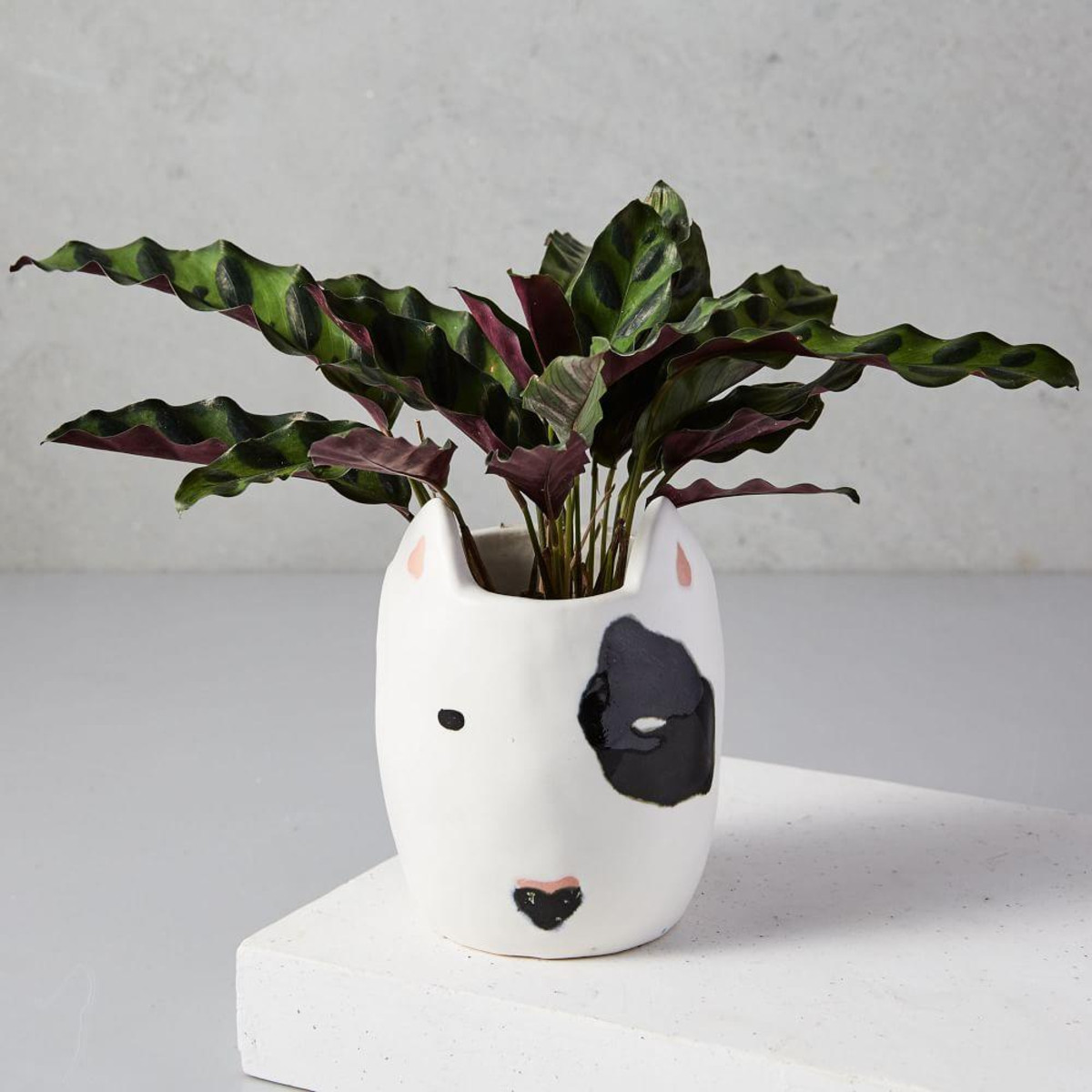Adorable Pet Planters Will Give Your Home the Personal Touch Inspiralist